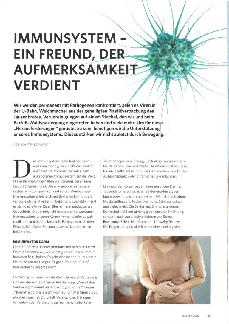 Read more about the article IMMUNSYSTEM – EIN FREUND, DER AUFMERKSAMKEIT VERDIENT